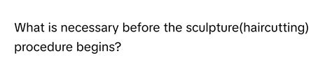 Which of the Following is Necessary During the Sculpture Procedure? A Multi-Layered Discussion